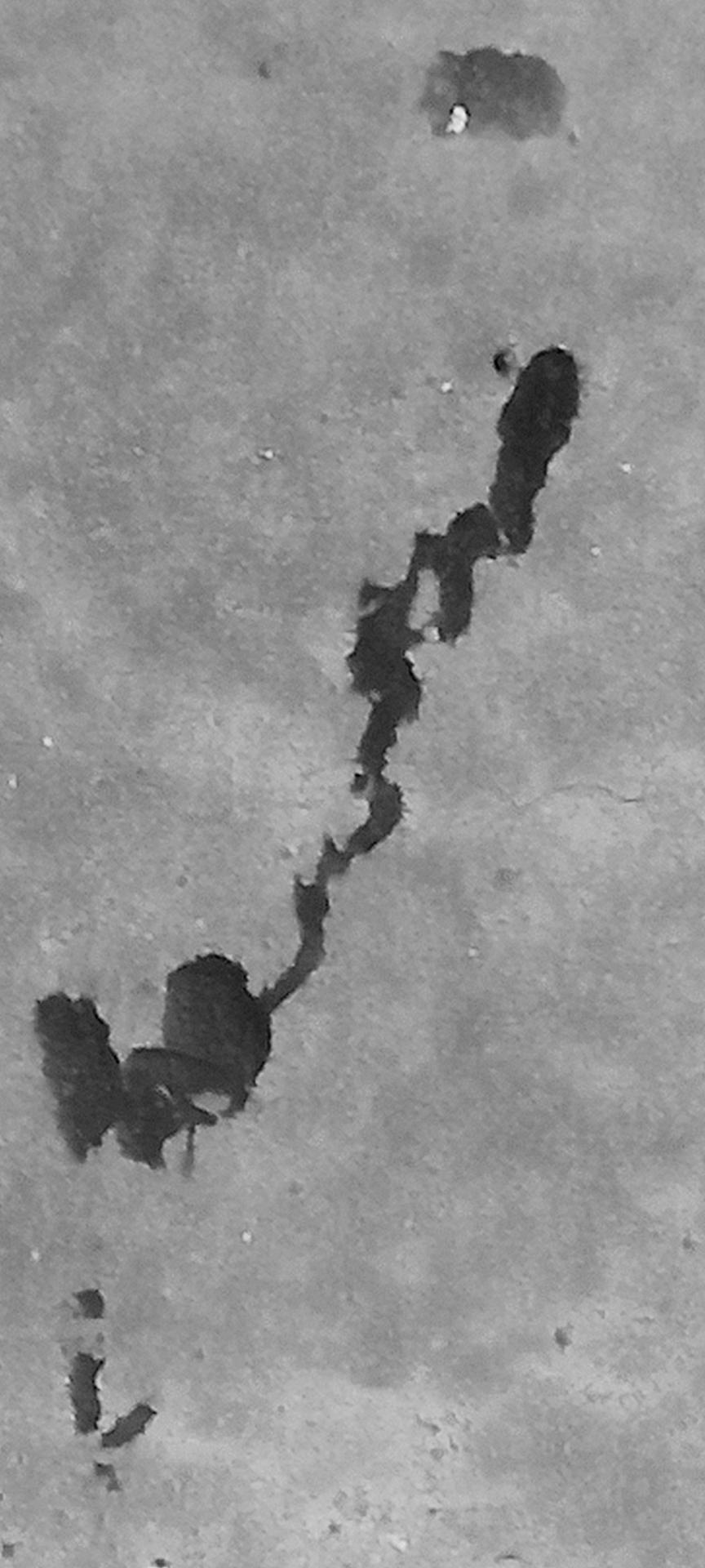 Littoral 5