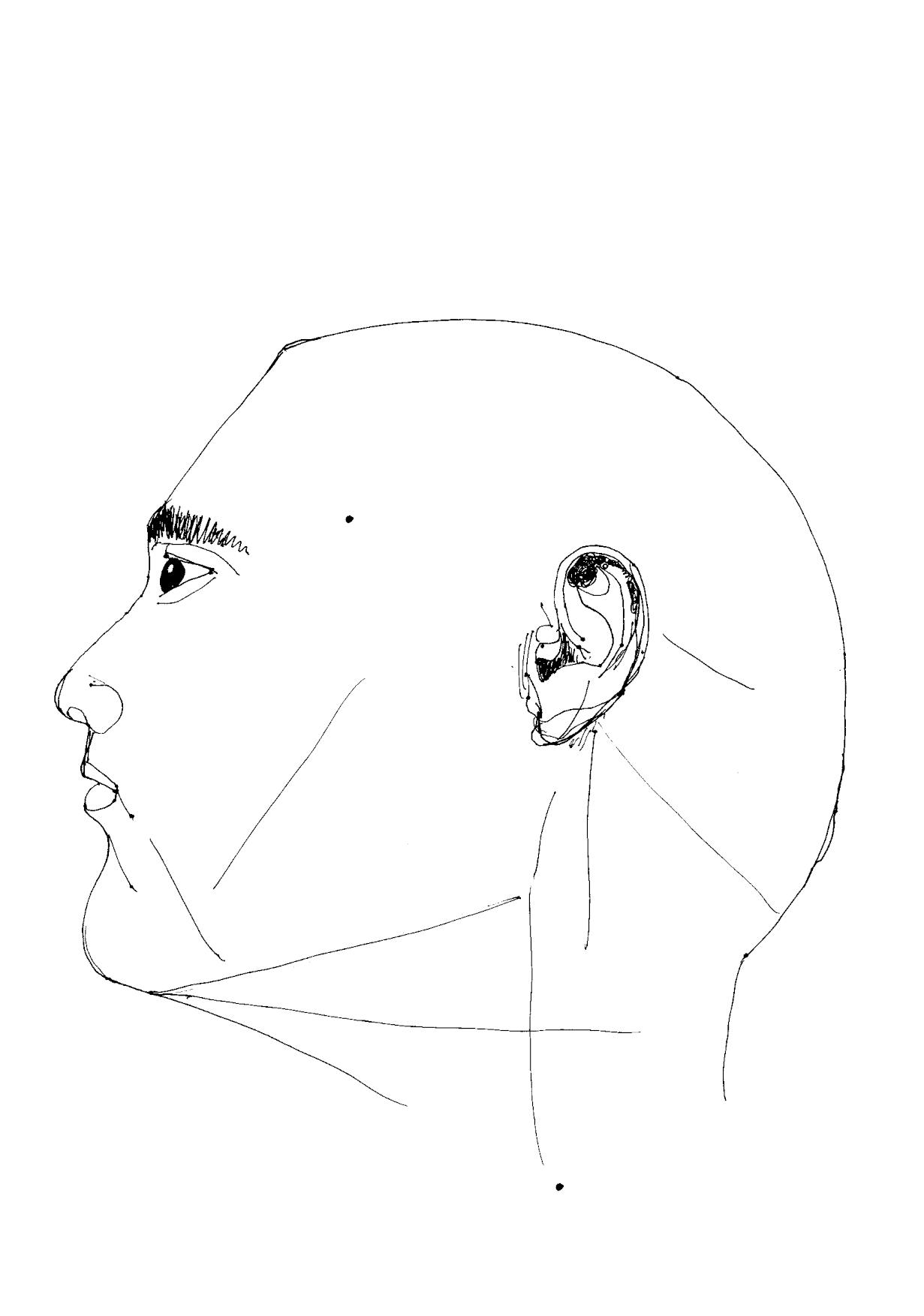 Nf profil gauche propre 2 ok